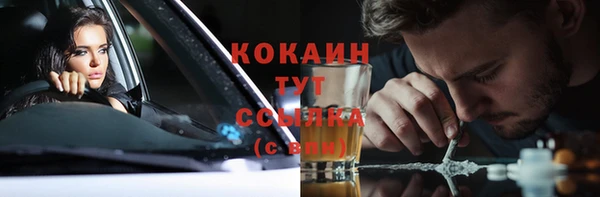 мяу мяу мука Горно-Алтайск