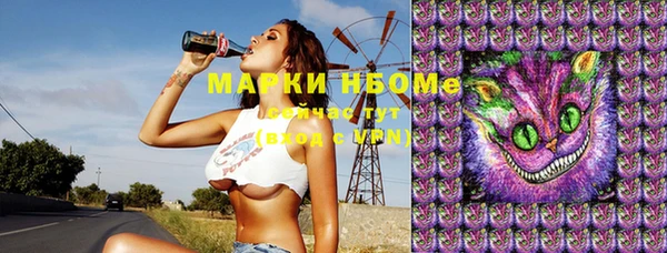 мяу мяу мука Горно-Алтайск