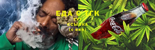 твердый Чекалин