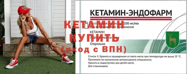 мяу мяу мука Горно-Алтайск