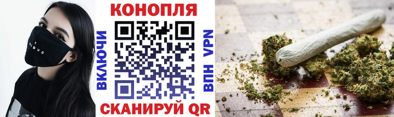 Купить где  Моршанск  Шишки марихуана SATIVA & INDICA 